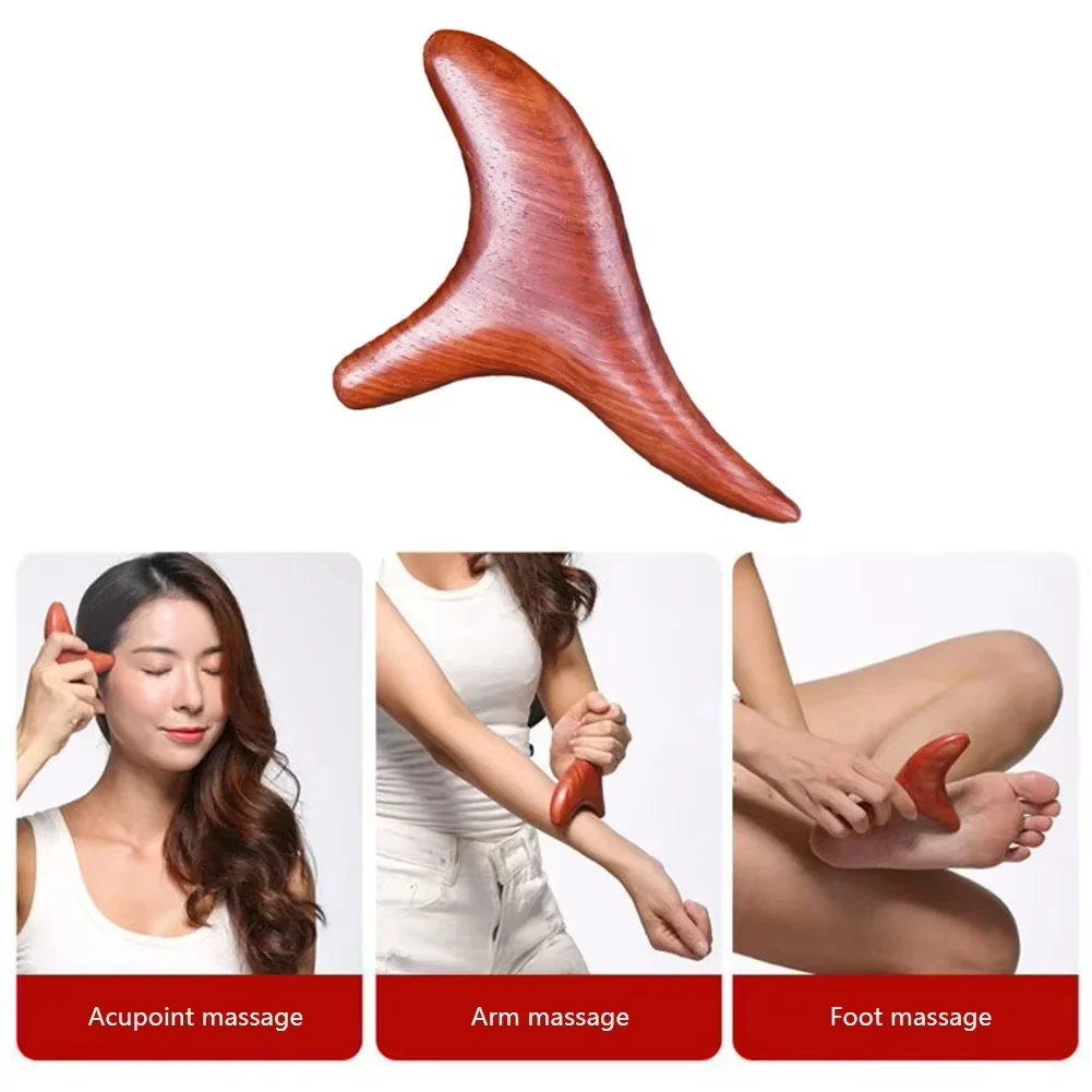 Home Gym Manual - 1 Ferramenta Profissional de Massagem Gua