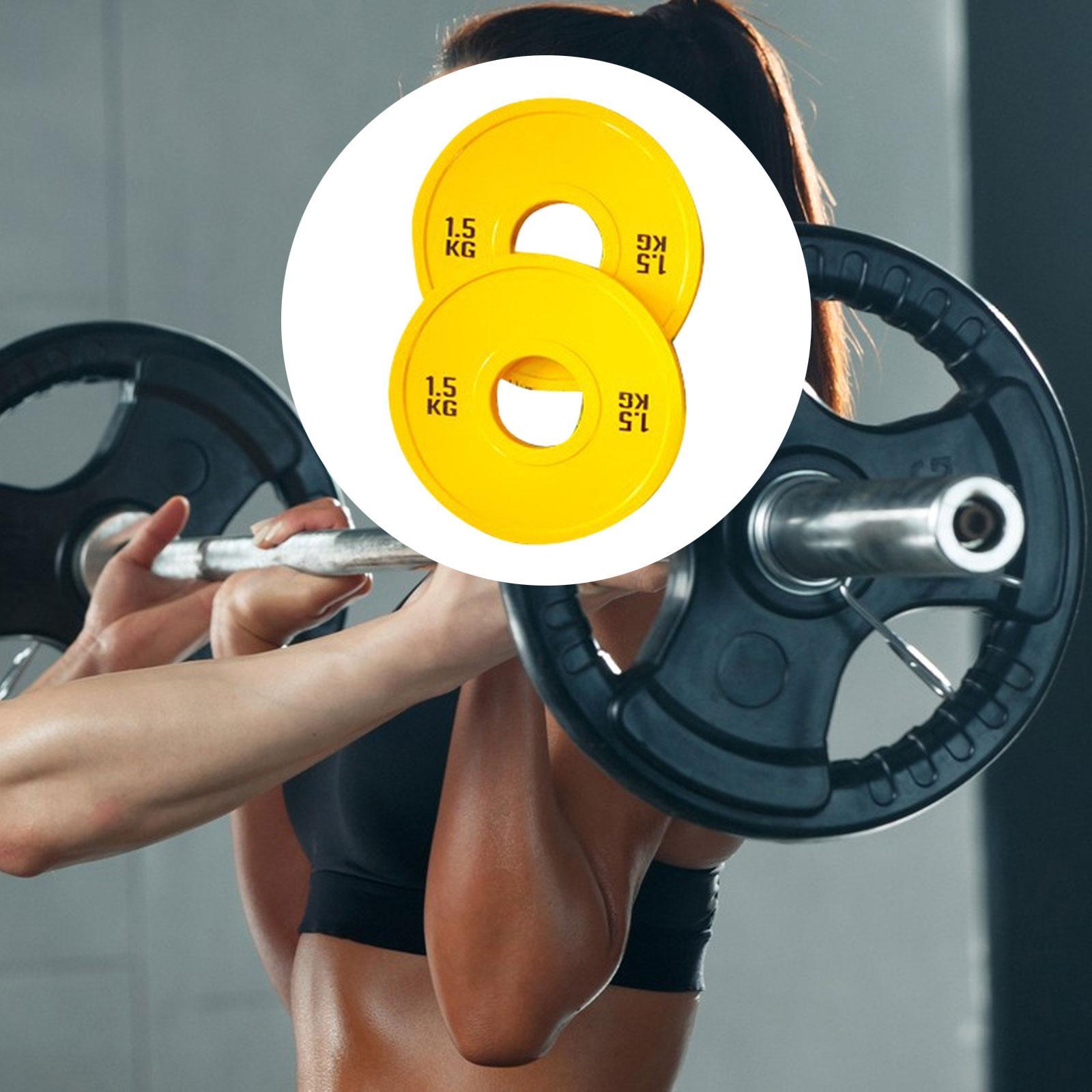 Home Gym Routine - Micro placas de peso para treinamento
