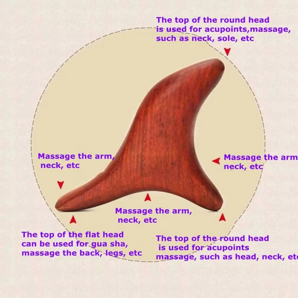 1 Ferramenta Profissional de M - Home Gym Manual avaliação e preço